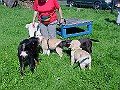 DSC02893