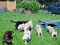 DSC02894