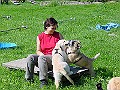 DSC02906