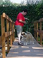 DSC02916
