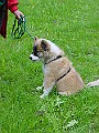 DSC02945