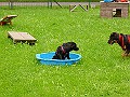 DSC02950
