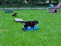 DSC02951