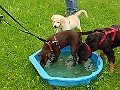 DSC02954