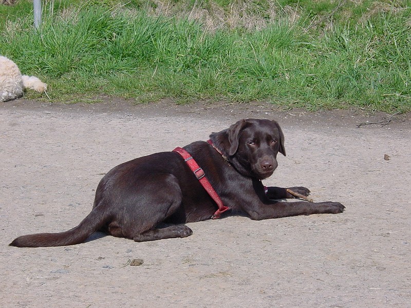 DSC03835.jpg