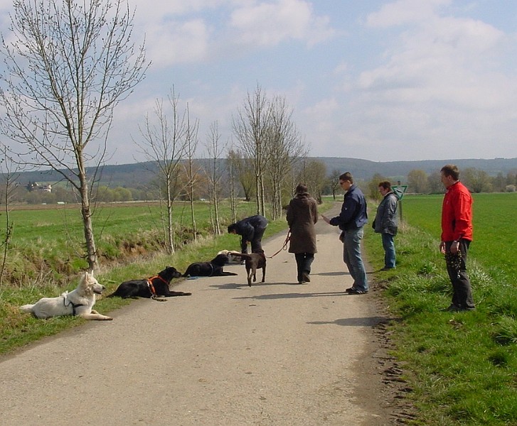 DSC03844.jpg