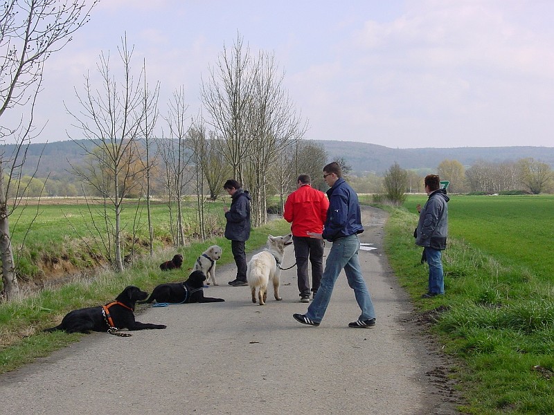 DSC03845.jpg
