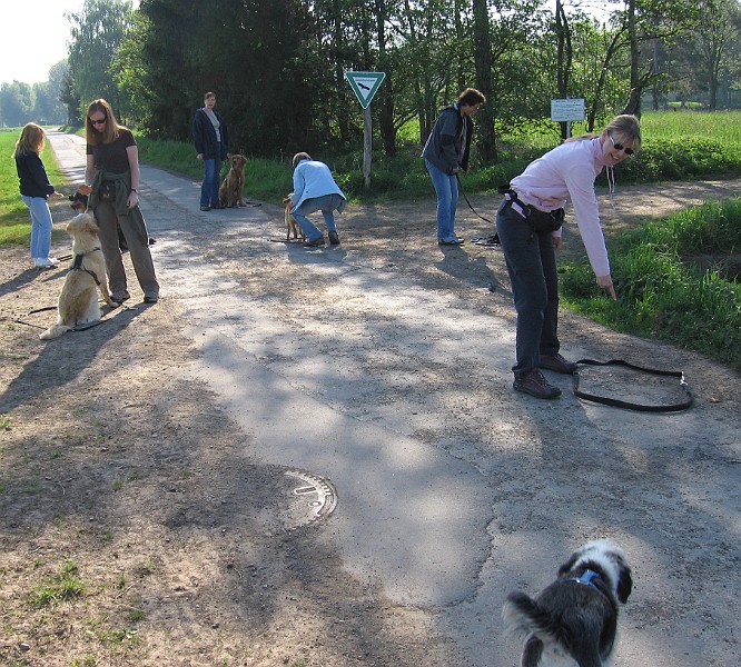 IMG_4305.jpg