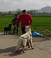 DSC03823
