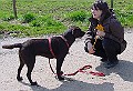 DSC03829
