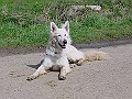 DSC03837
