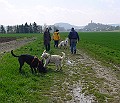 DSC03850