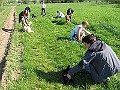 IMG_4311