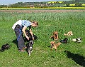 IMG_4324