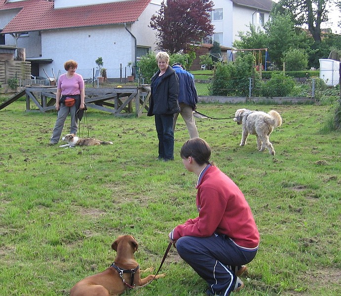 HPMaiWelpen2008.jpg