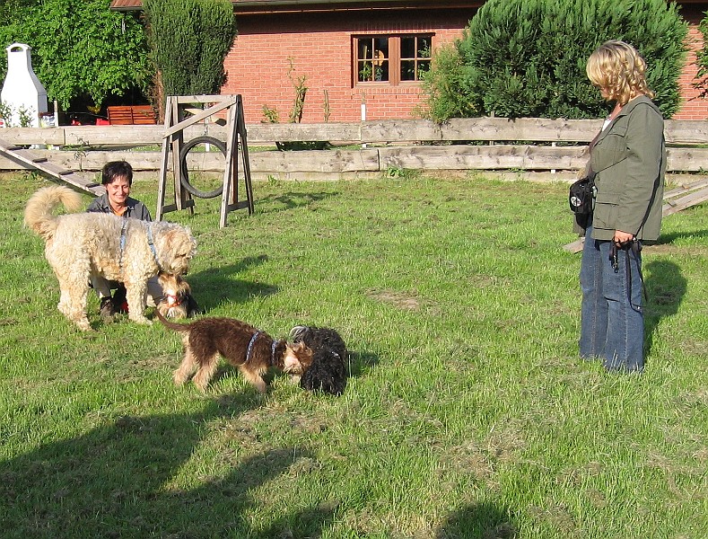 IMG_4367.jpg