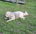 IMG_4361