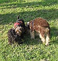 IMG_4363