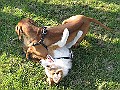 IMG_4365