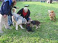 IMG_4370