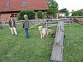 IMG_4373