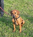 IMG_4391