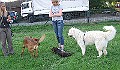 IMG_4571