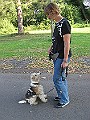 IMG_4582