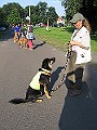 IMG_4594