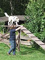 IMG_4636