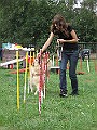 IMG_4659
