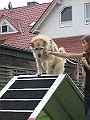 IMG_4667