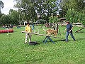 IMG_4696