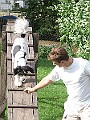 IMG_4890