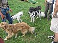 IMG_4913