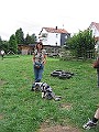 IMG_4931