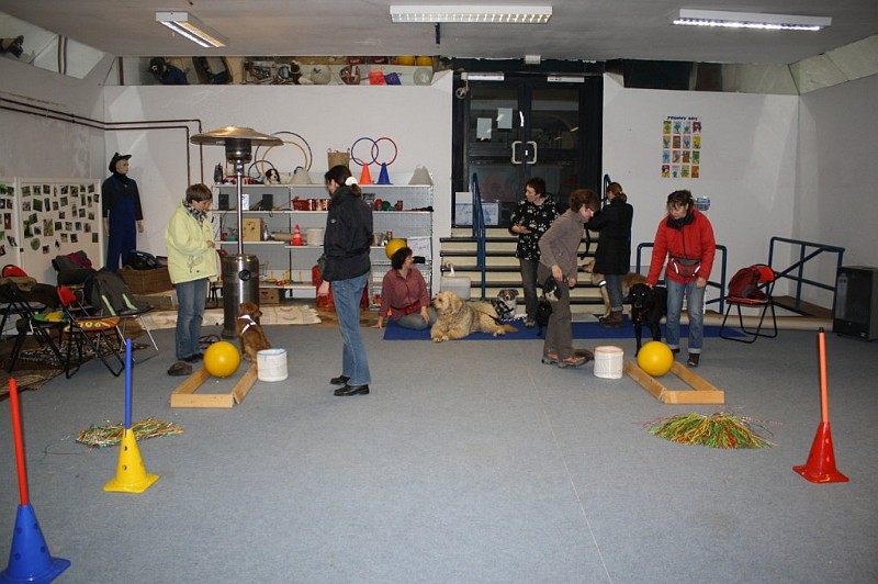IMG_5763.jpg