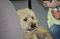 IMG_5714