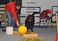 IMG_5768