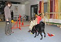 IMG_5775