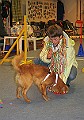 IMG_5778