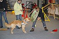 IMG_5794