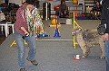 IMG_5795