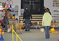 IMG_5796