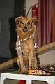 IMG_5807