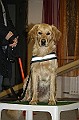 IMG_5808