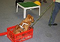 IMG_5814