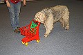 IMG_5817