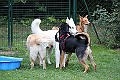 IMG_2173