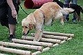 IMG_2191